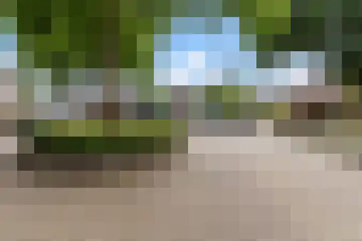 Zichtweg 57 Apeldoorn thumbnail 42