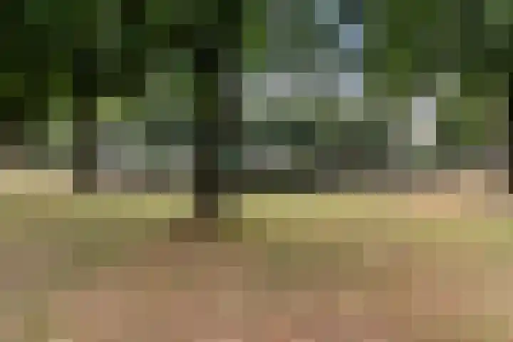 Zichtweg 57 Apeldoorn thumbnail 43