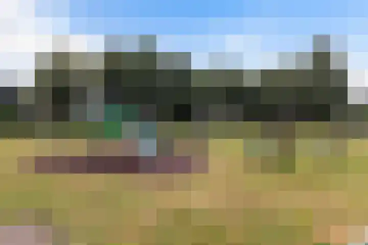 Zichtweg 57 Apeldoorn thumbnail 44