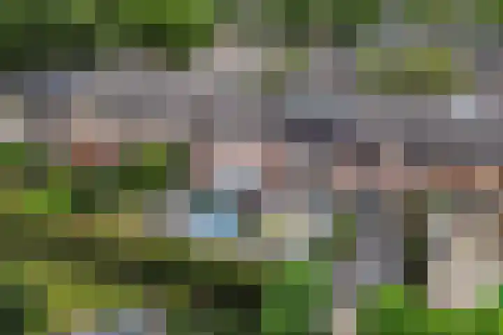 Zichtweg 57 Apeldoorn thumbnail 45