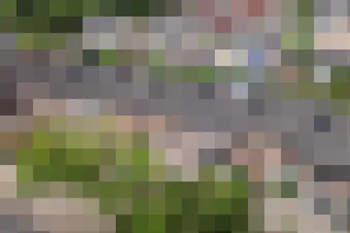 Zichtweg 57 Apeldoorn thumbnail 46