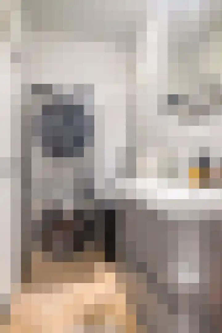 Zichtweg 6 Apeldoorn thumbnail 12