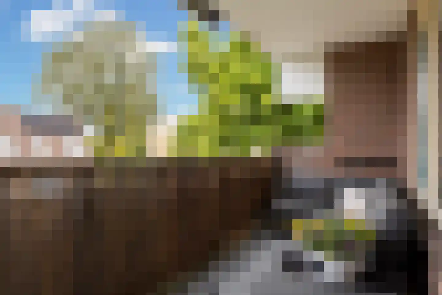 Zichtweg 6 Apeldoorn thumbnail 15