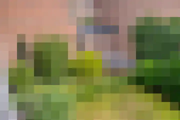 Zichtweg 6 Apeldoorn thumbnail 17