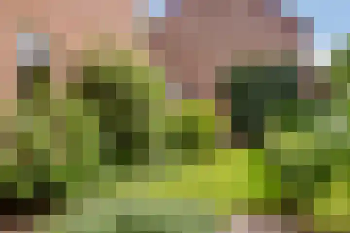 Zichtweg 6 Apeldoorn thumbnail 18