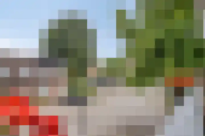 Zichtweg 6 Apeldoorn thumbnail 20