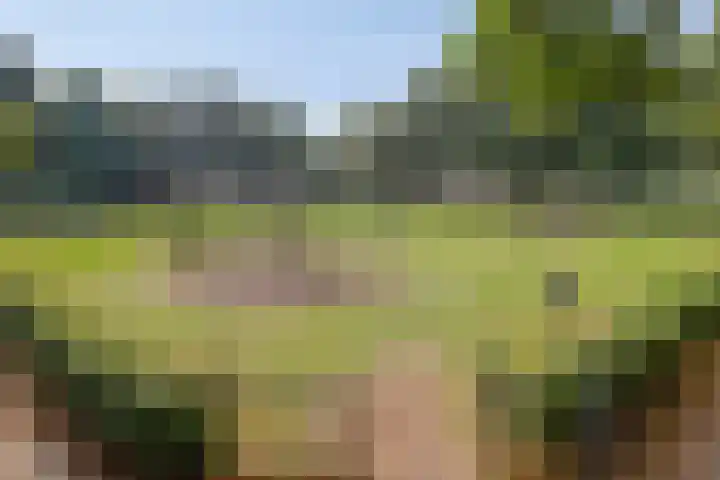 Zichtweg 6 Apeldoorn thumbnail 23