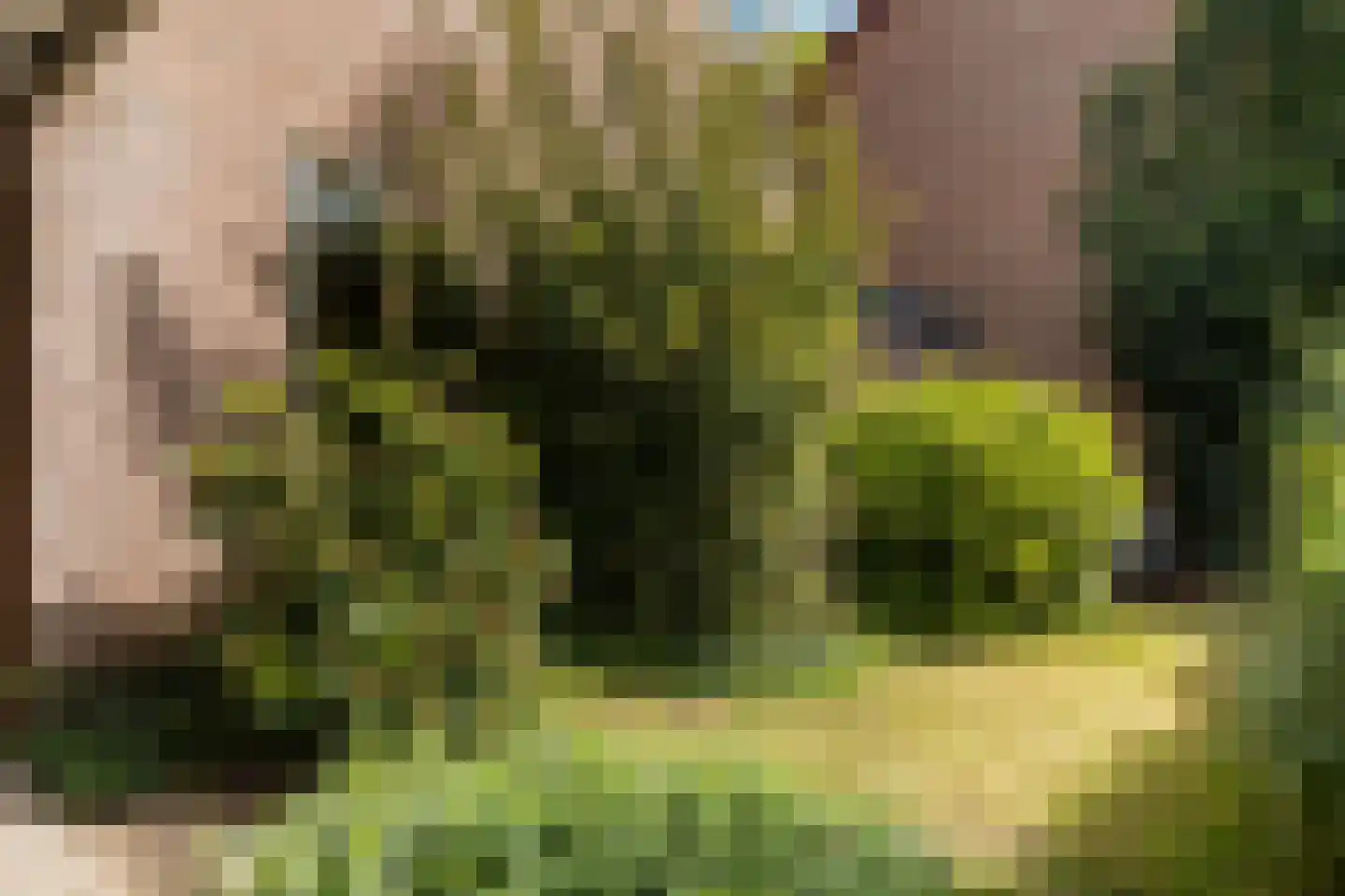 Zichtweg 6 Apeldoorn thumbnail 23