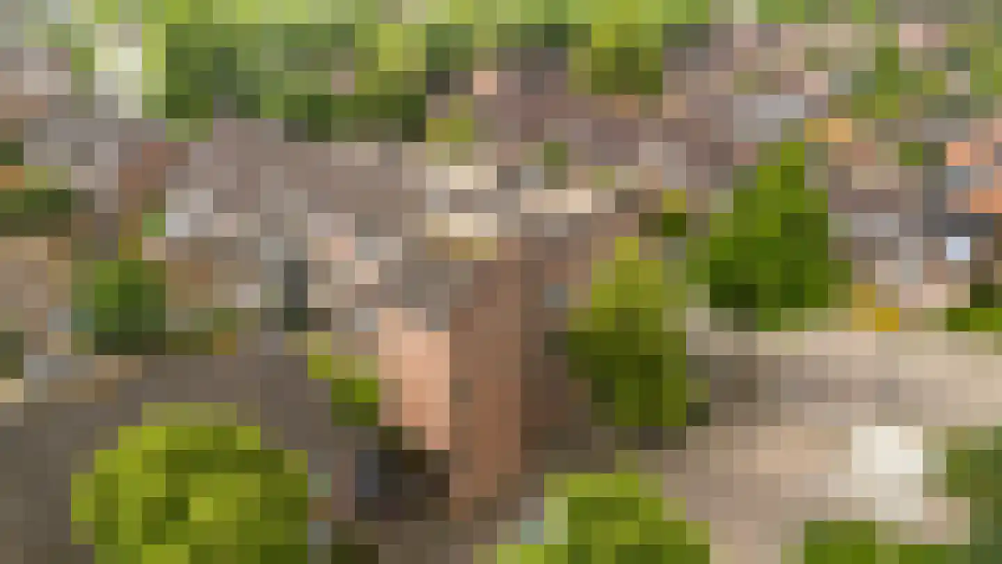Zichtweg 6 Apeldoorn thumbnail 24