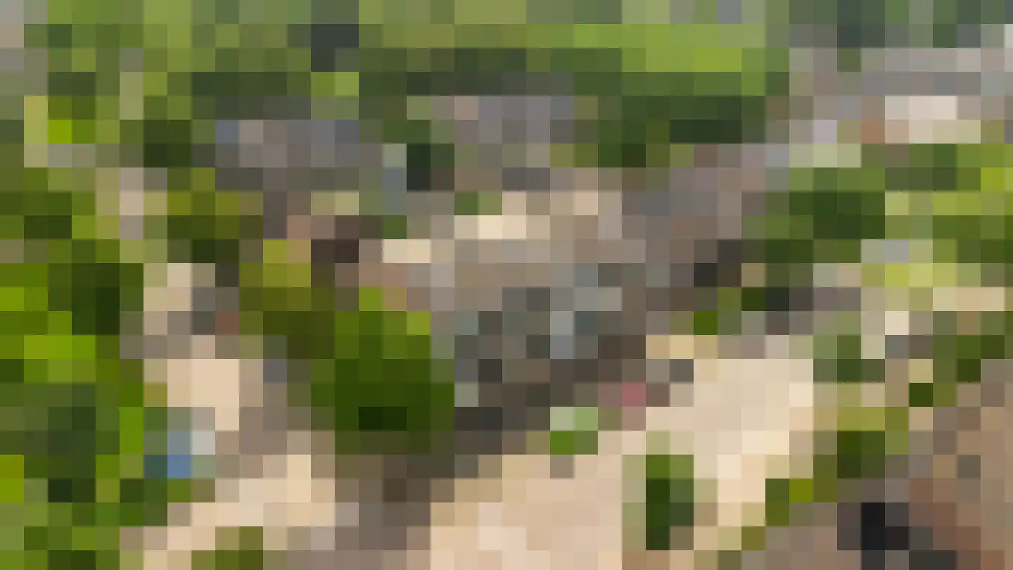Zichtweg 6 Apeldoorn thumbnail 27