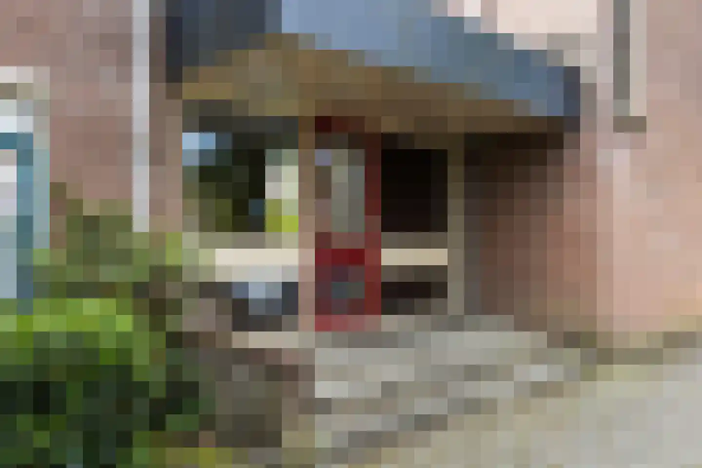 Zichtweg 6 Apeldoorn thumbnail 4