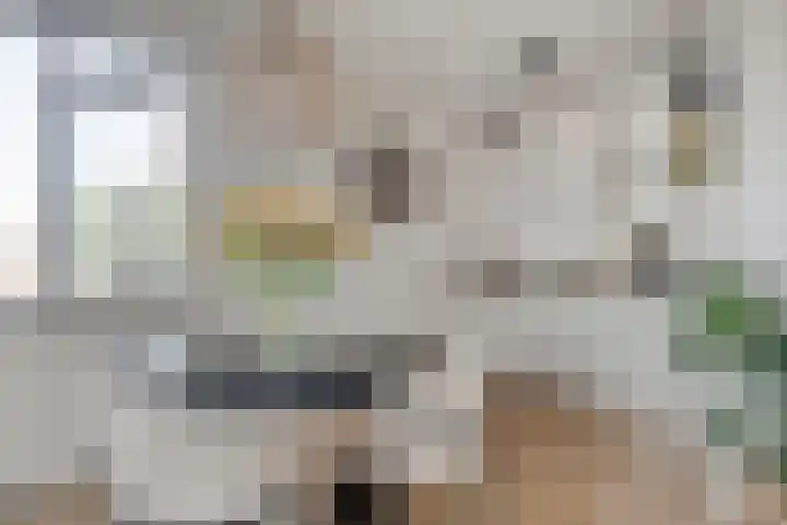 Zichtweg 6 Apeldoorn thumbnail 5