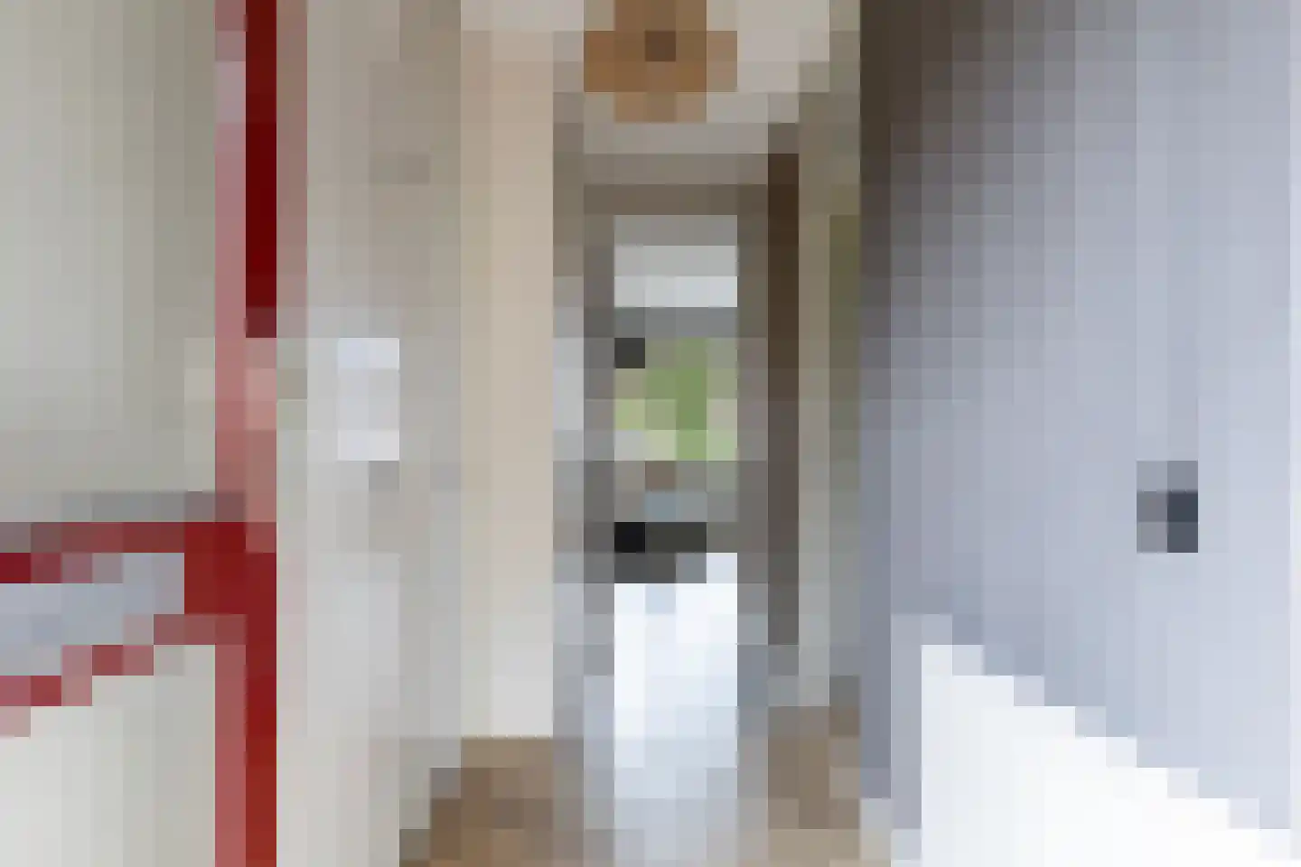Zichtweg 6 Apeldoorn thumbnail 8