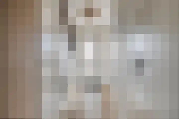 Zichtweg 6 Apeldoorn thumbnail 9