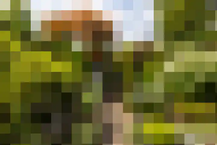 Zichtweg 63 Apeldoorn thumbnail 10