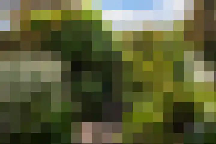 Zichtweg 63 Apeldoorn thumbnail 11