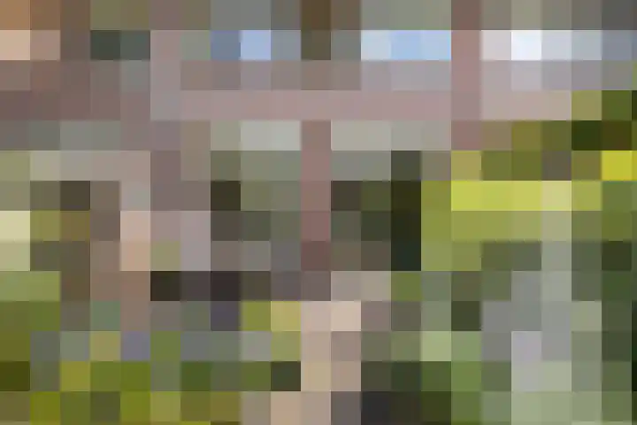 Zichtweg 63 Apeldoorn thumbnail 12