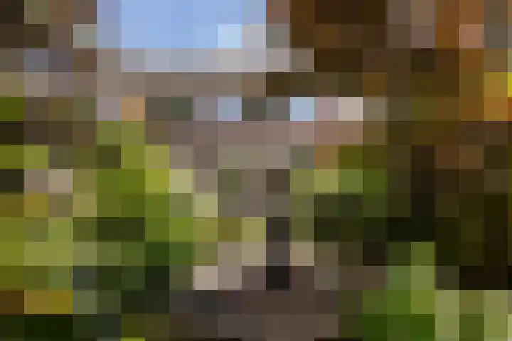 Zichtweg 63 Apeldoorn thumbnail 13