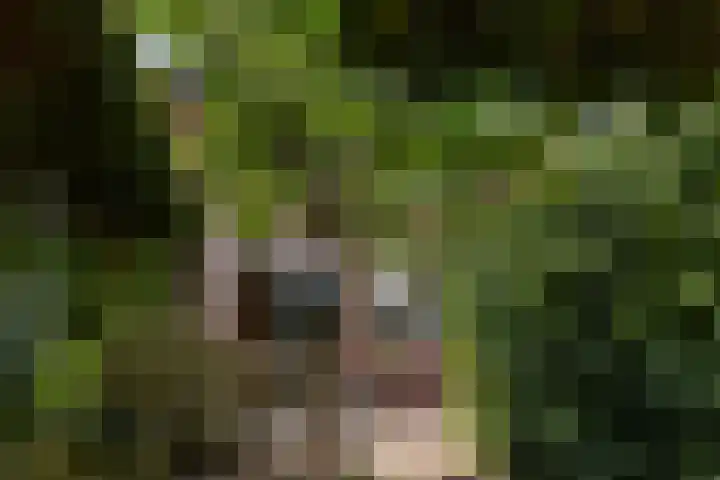 Zichtweg 63 Apeldoorn thumbnail 16