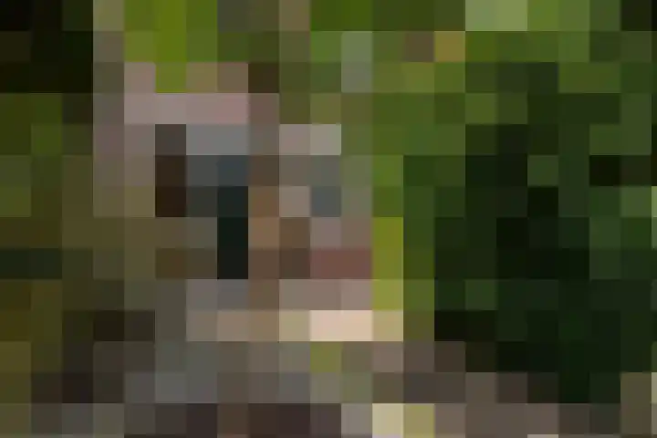 Zichtweg 63 Apeldoorn thumbnail 17