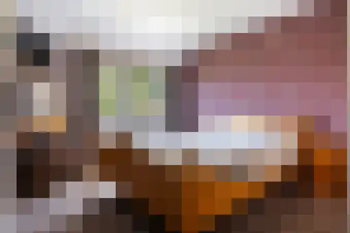Zichtweg 63 Apeldoorn thumbnail 24