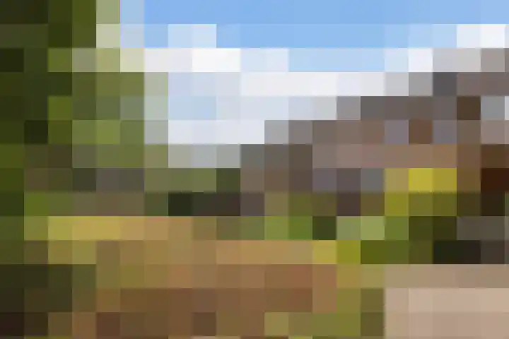 Zichtweg 63 Apeldoorn thumbnail 31