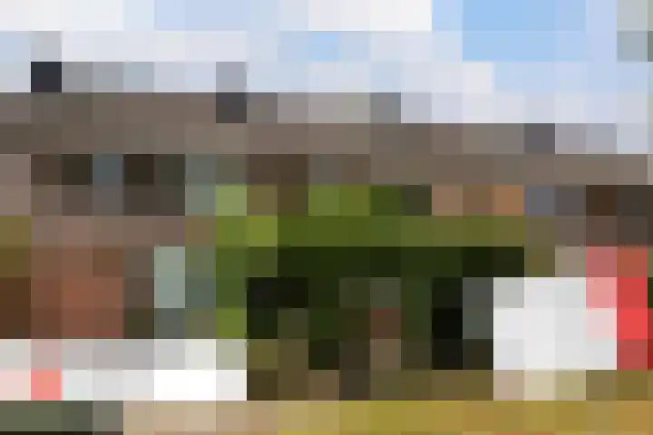 Zichtweg 63 Apeldoorn thumbnail 38