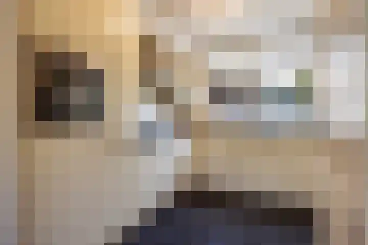 Zichtweg 63 Apeldoorn thumbnail 5