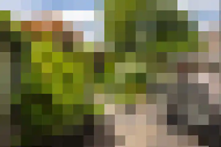 Zichtweg 63 Apeldoorn thumbnail 9