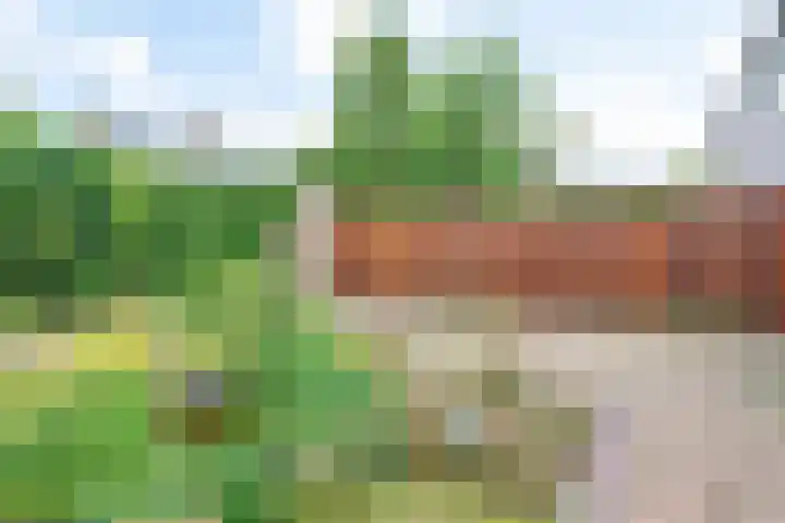 Zichtweg 66 Nieuw-Vennep thumbnail 13