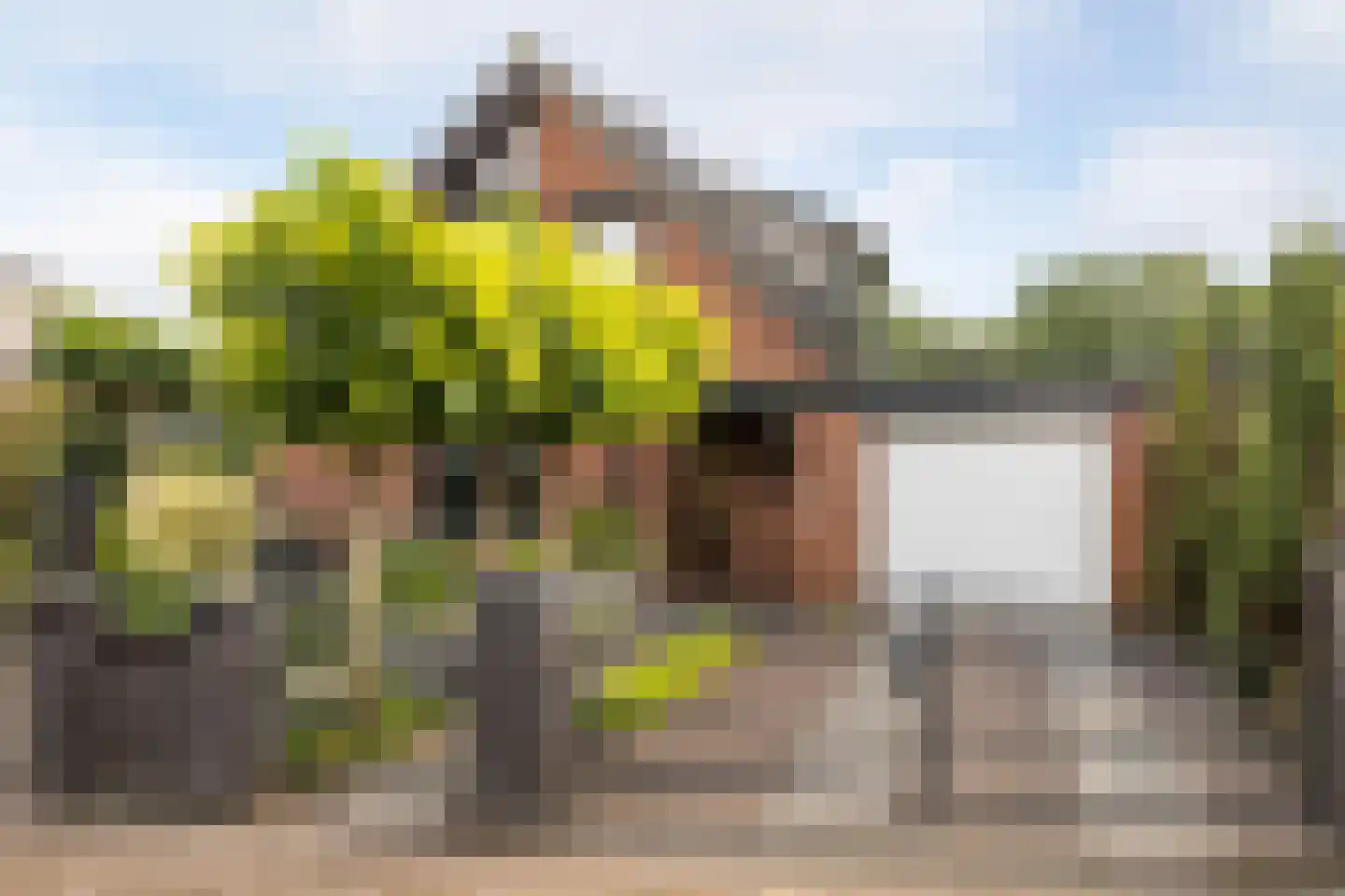 Zichtweg 7 Elspeet