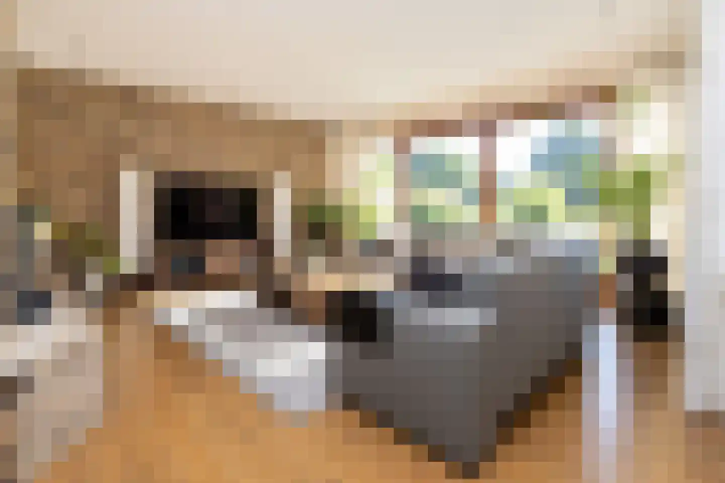 Zichtweg 7 Elspeet thumbnail 13