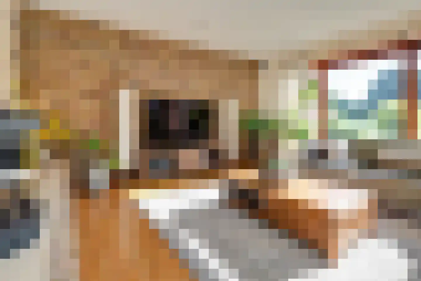 Zichtweg 7 Elspeet thumbnail 14