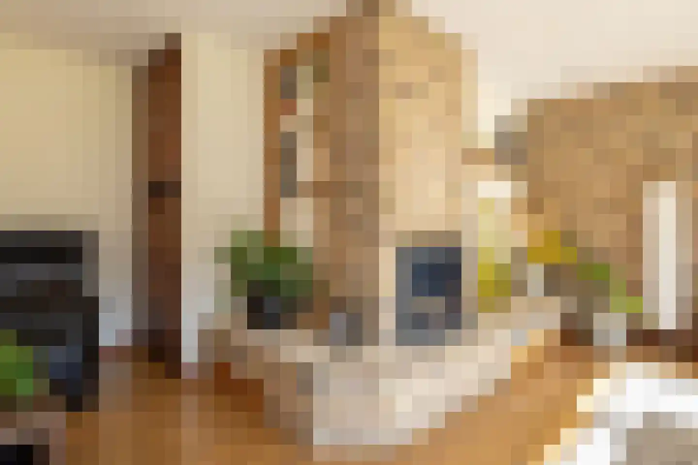 Zichtweg 7 Elspeet thumbnail 18