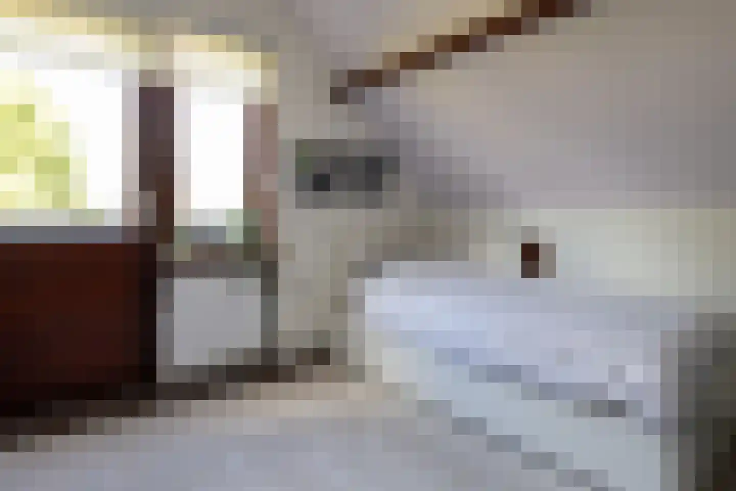 Zichtweg 7 Elspeet thumbnail 36