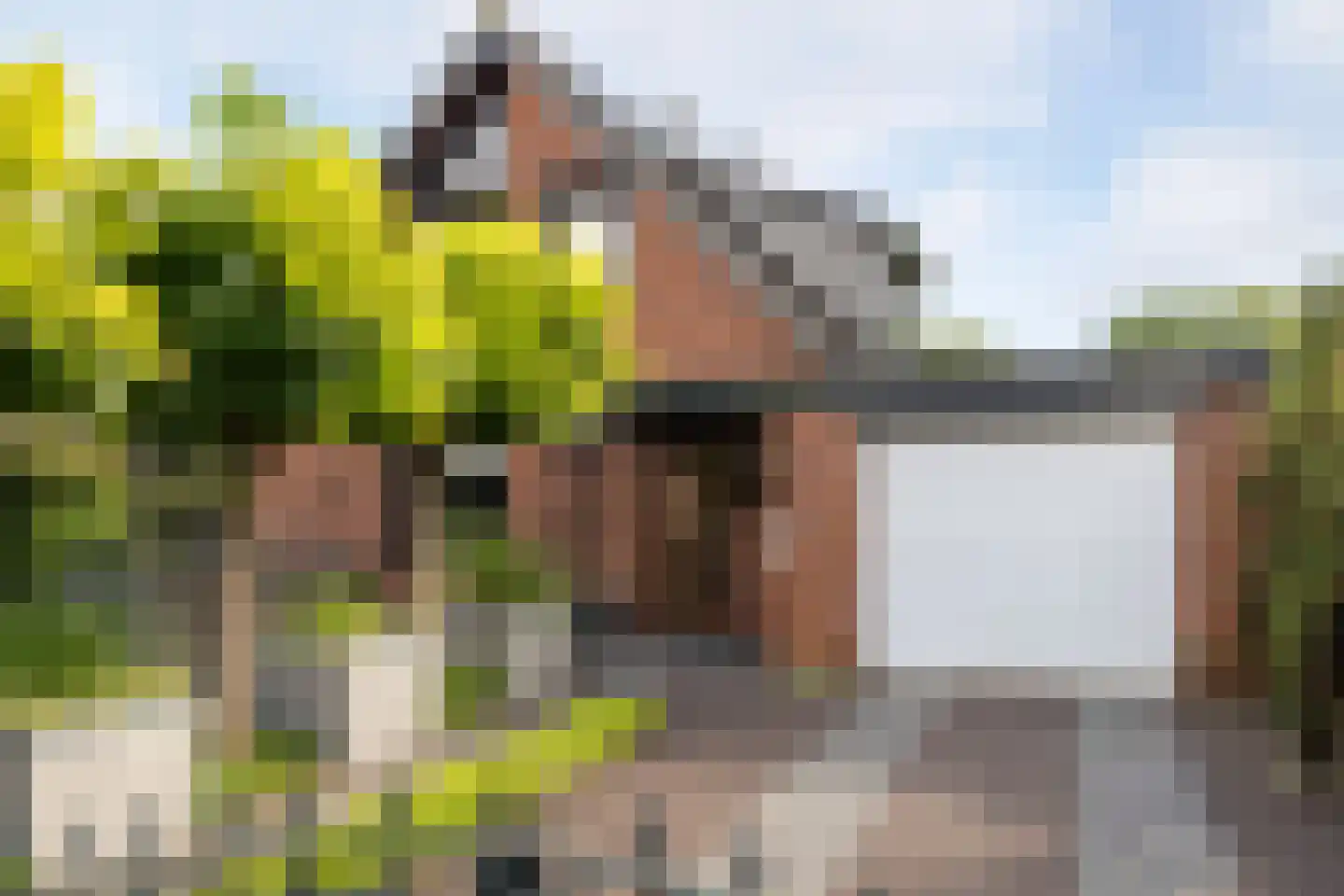 Zichtweg 7 Elspeet thumbnail 4