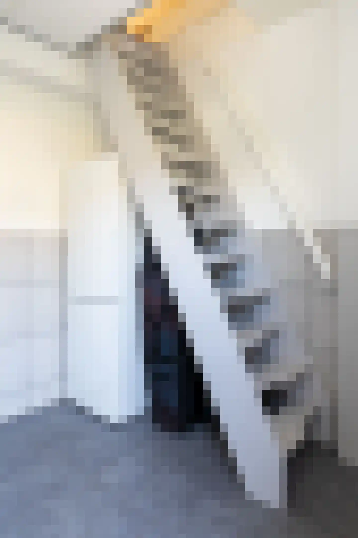 Zichtweg 7 Elspeet thumbnail 44