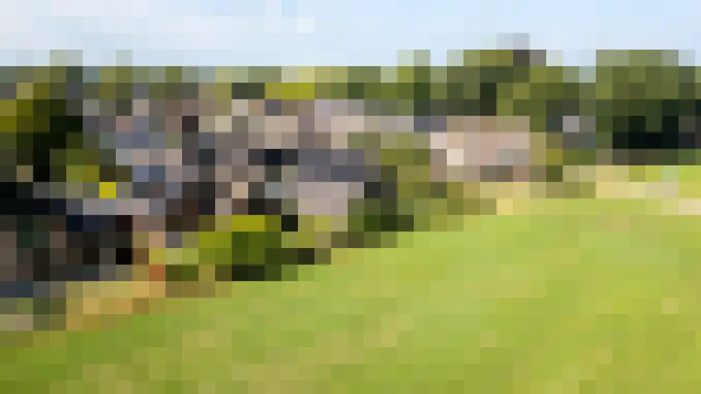 Zichtweg 7 Elspeet thumbnail 47