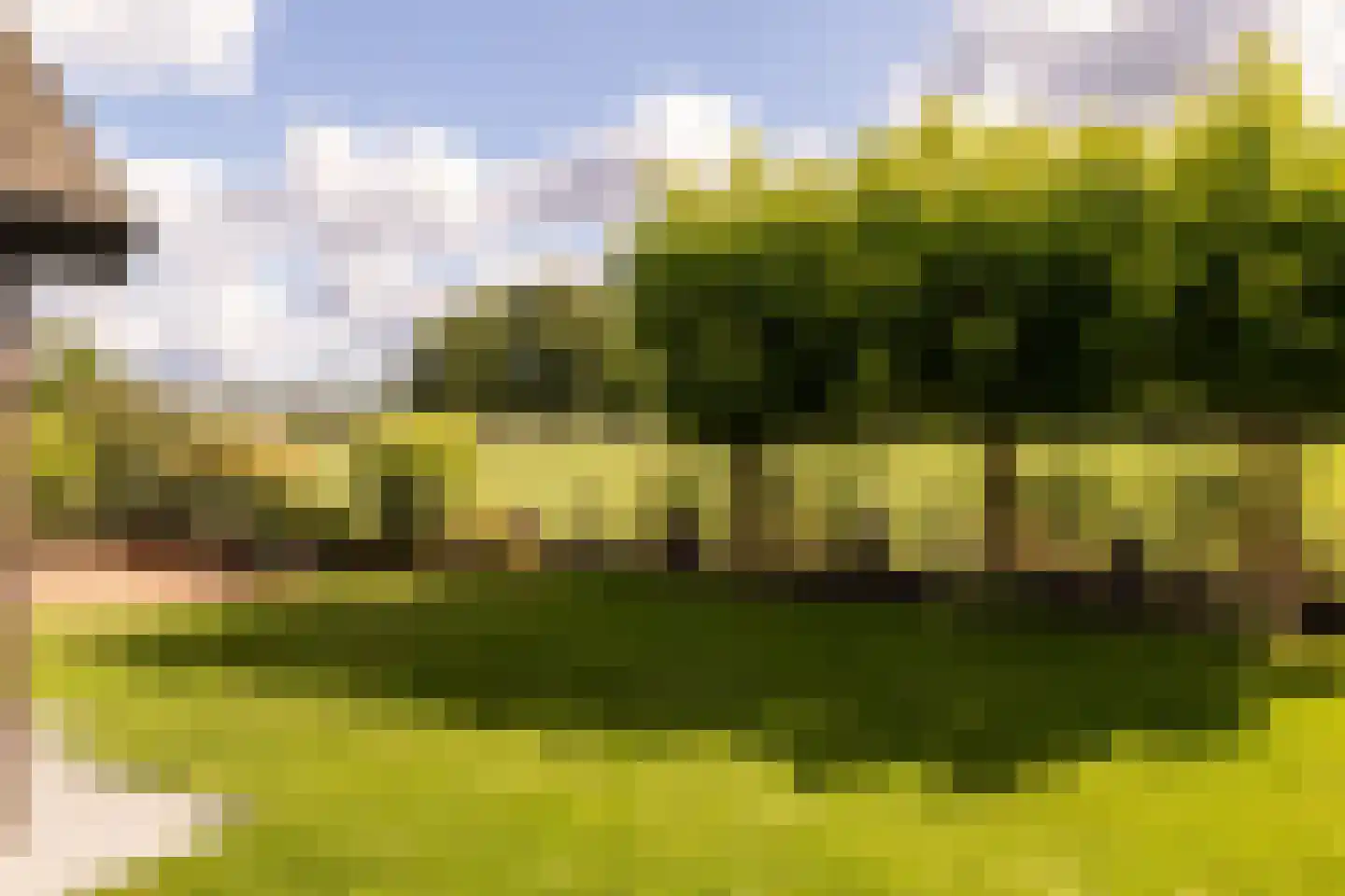 Zichtweg 7 Elspeet thumbnail 8