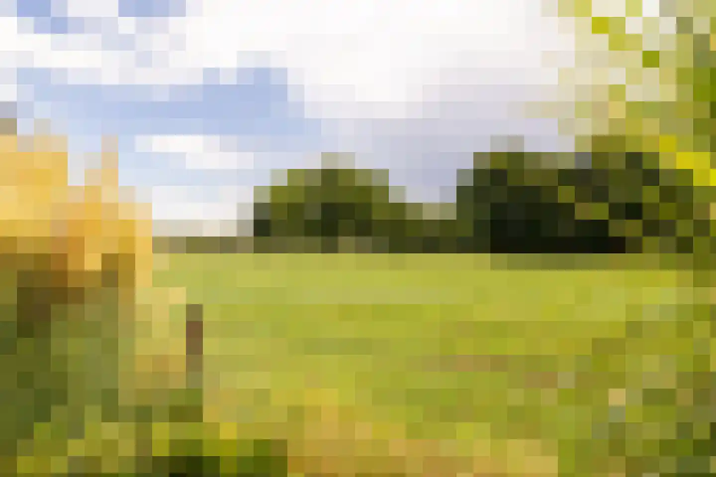 Zichtweg 7 Elspeet thumbnail 9