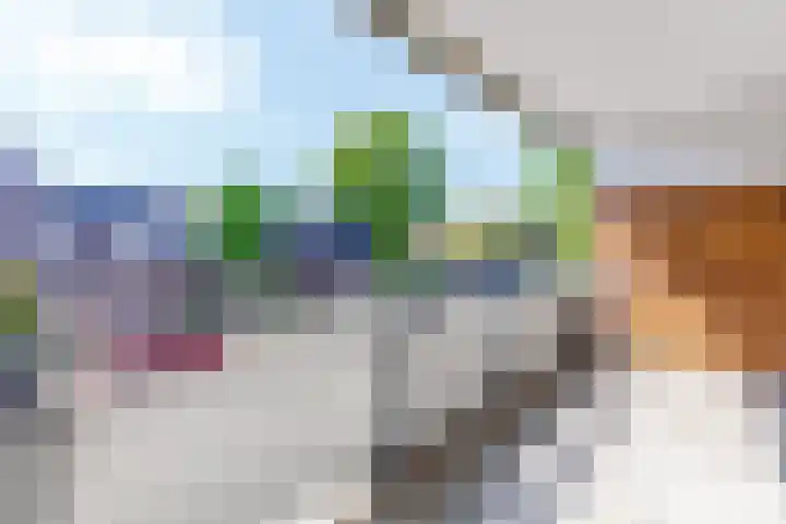 Zichtweg 8 Apeldoorn thumbnail 10