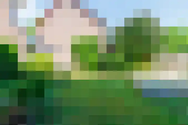 Zichtweg 8 Apeldoorn thumbnail 11