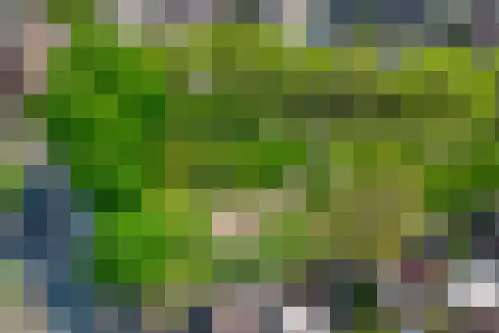 Zichtweg 8 Apeldoorn thumbnail 13