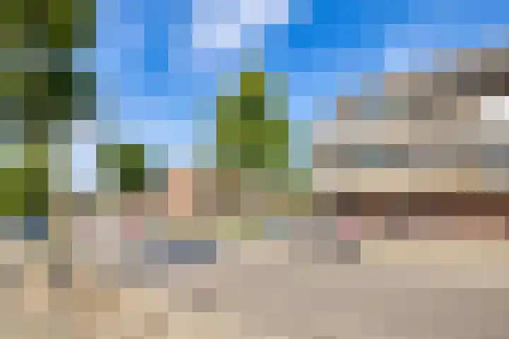 Zichtweg 8 Apeldoorn thumbnail 15