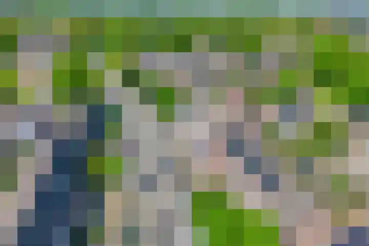 Zichtweg 8 Apeldoorn thumbnail 17