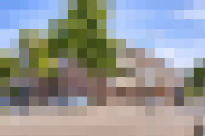 Zichtweg 8 Apeldoorn thumbnail 21