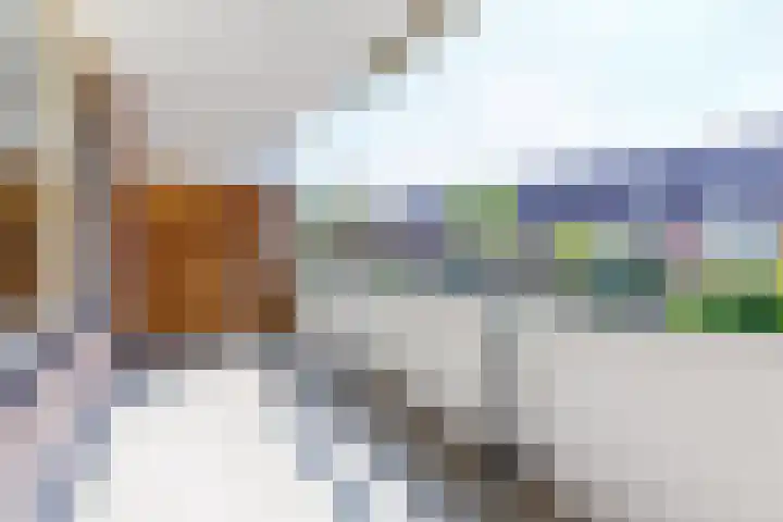 Zichtweg 8 Apeldoorn thumbnail 9