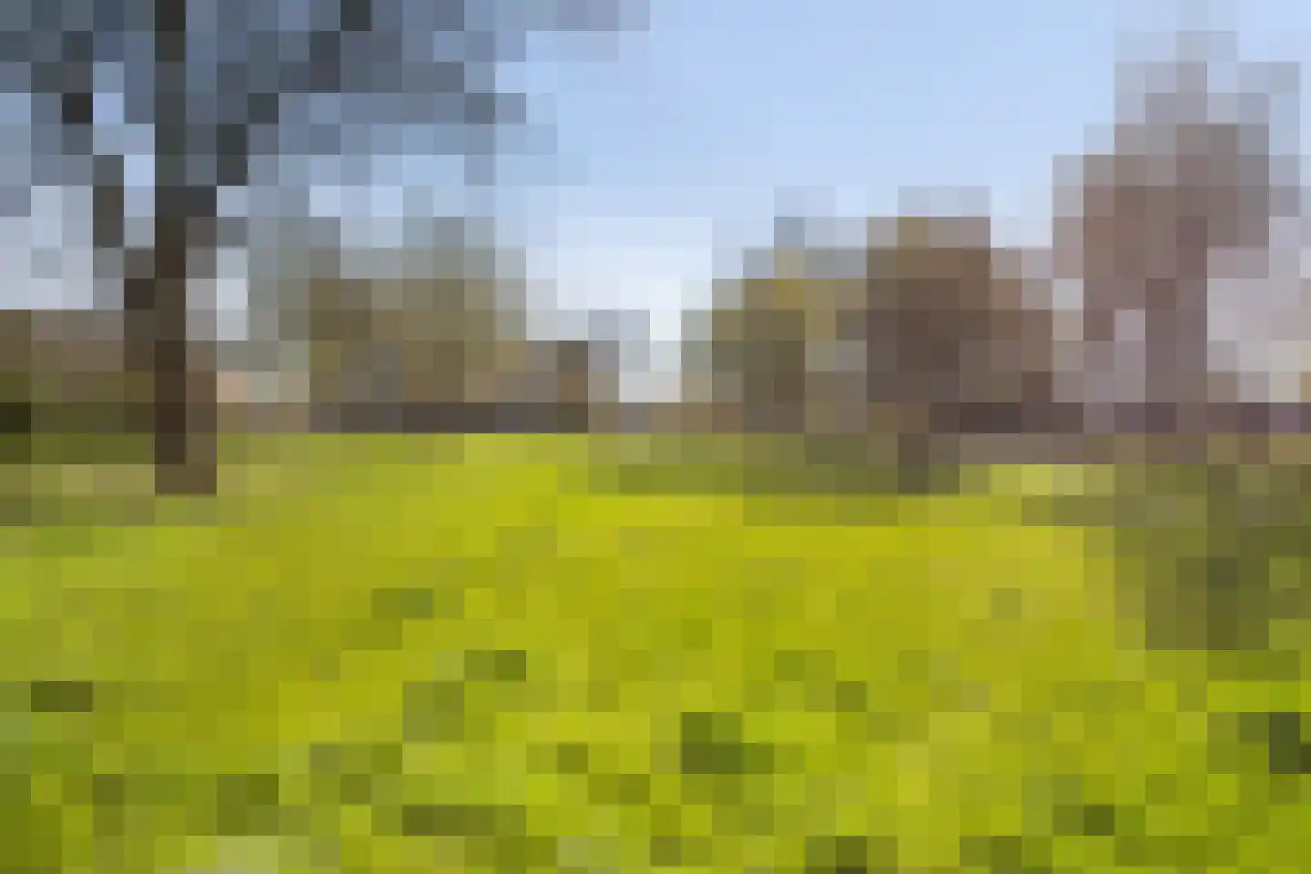 Zichtweg 98 Nieuw-Vennep thumbnail 31