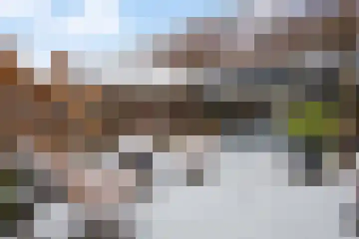 Zichtweide 16 Nieuwegein thumbnail 14