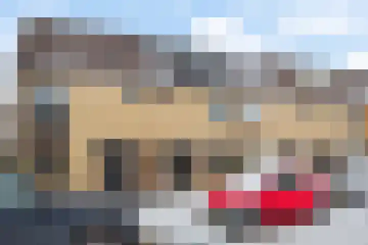 Zichtweide 16 Nieuwegein thumbnail 32